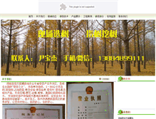 Tablet Screenshot of 6655086.com